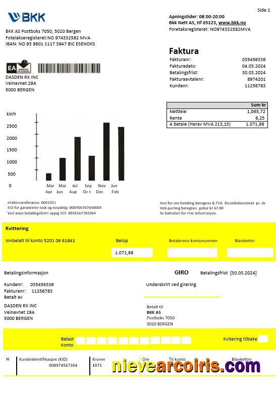 Norway BKK electricity business utility bill, good for address prove